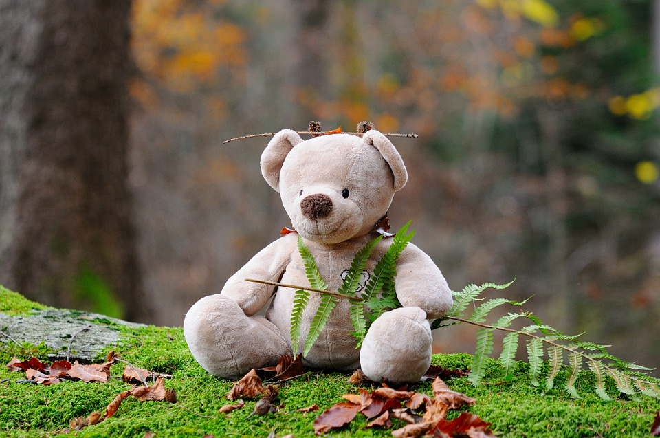 Teddybär im Wald